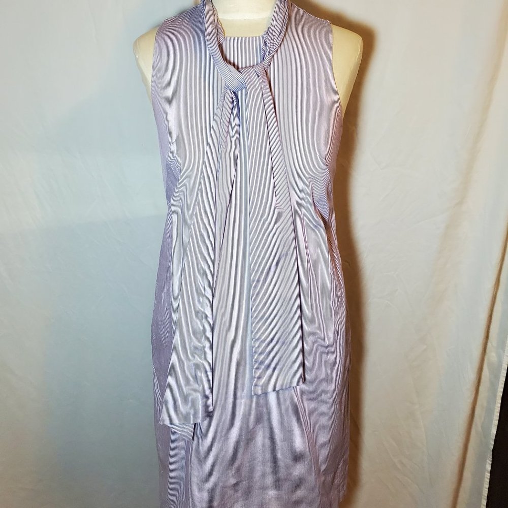 Banana Republic Tie Neck Striped Dress